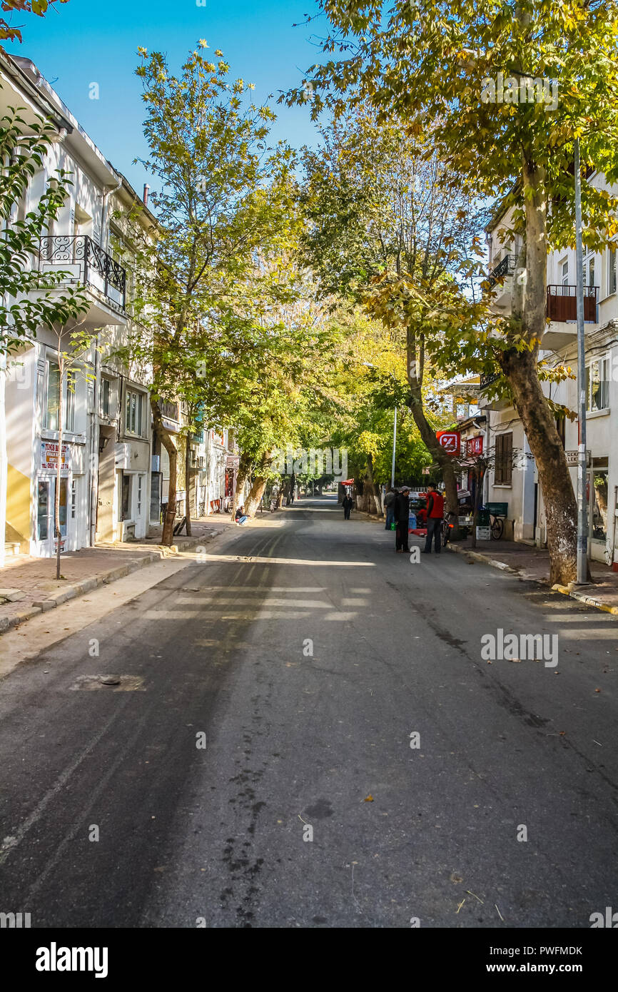 Istanbul, Turchia, 5 Novembre 2010: strada alberata a Buyukada, uno dei capi delle isole. Foto Stock