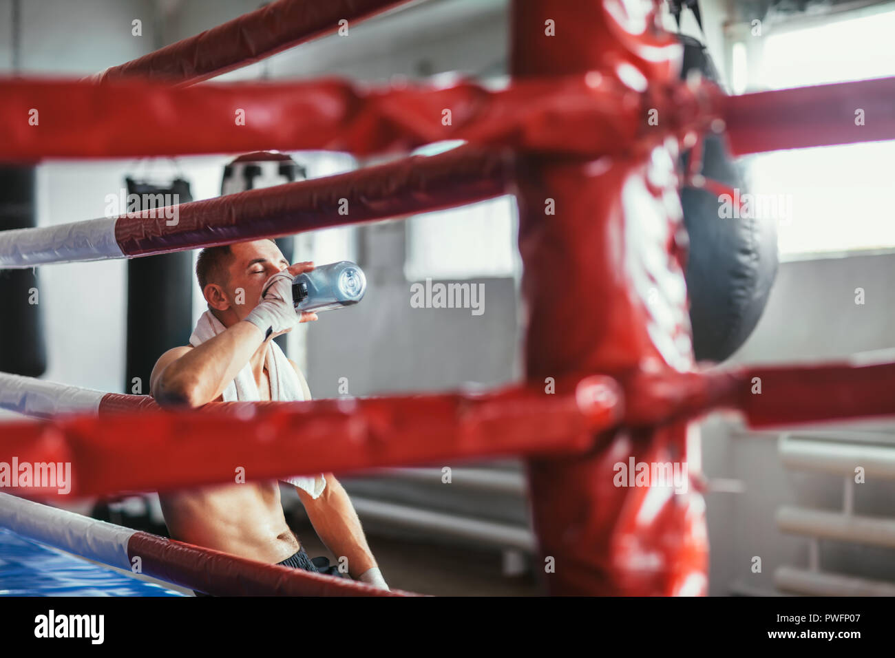 Boxer maschio acqua potabile dopo la lotta o esercizio di allenamento nel pugilato ring Foto Stock