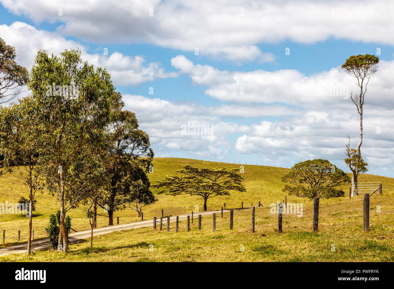 Campagna australiana. La strada attraverso le aziende agricole. Sunshine Coast, Queensland, Australia Foto Stock