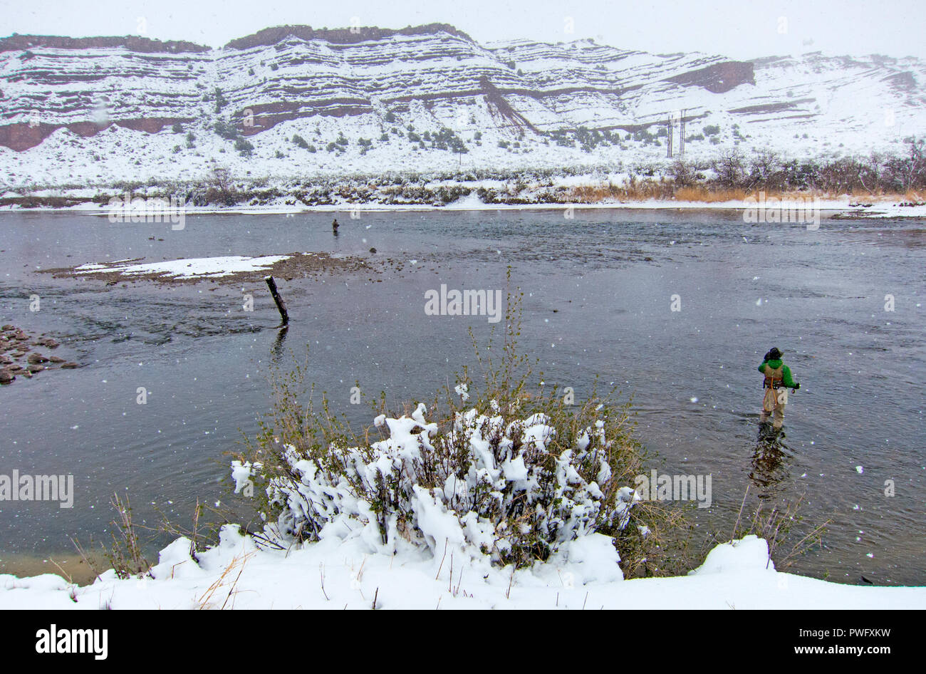 Pesca alla trota sul North Platte River in Wyoming, STATI UNITI D'AMERICA Foto Stock