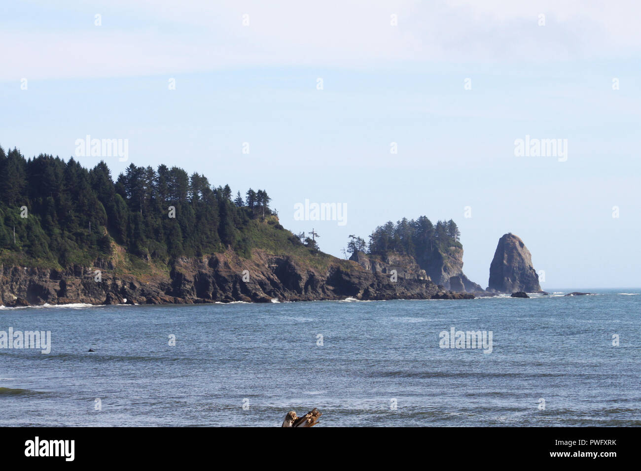 Ruby Beach, Olympic National Forest, Washington Foto Stock