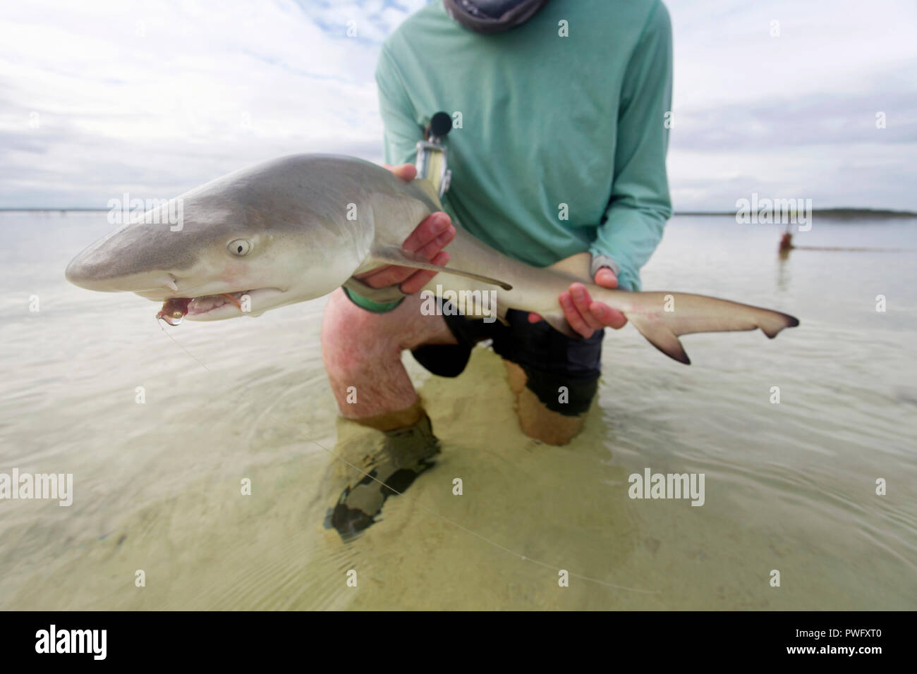 Scena di saltwater fly fishing per Bonefish, Tarpon, roosterfish, mahi mahi, tonno, sgombri e permesso. Foto Stock