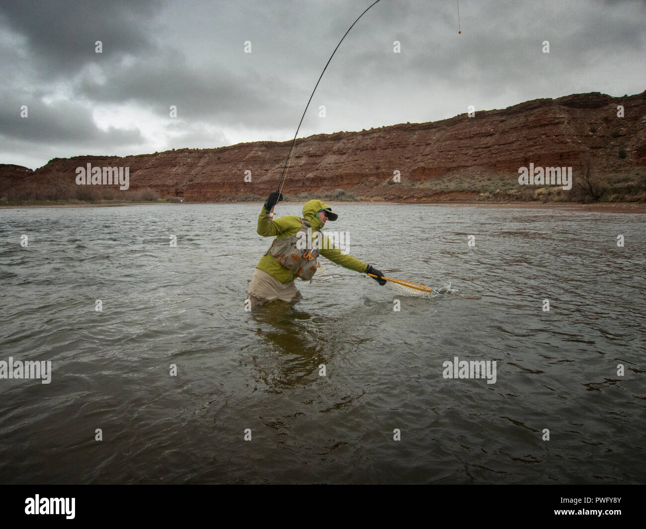 Pesca alla trota sul North Platte River in Wyoming, STATI UNITI D'AMERICA Foto Stock