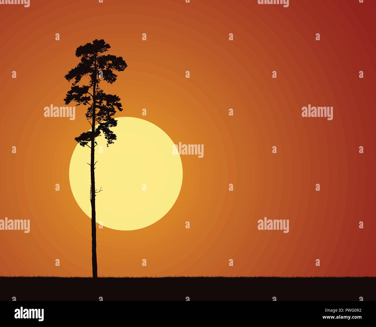 Illustrazioni realistiche con stagliano conifera albero ed erba, con l'aumento o impostazione di sole al mattino o alla sera cielo arancione - vettore Illustrazione Vettoriale
