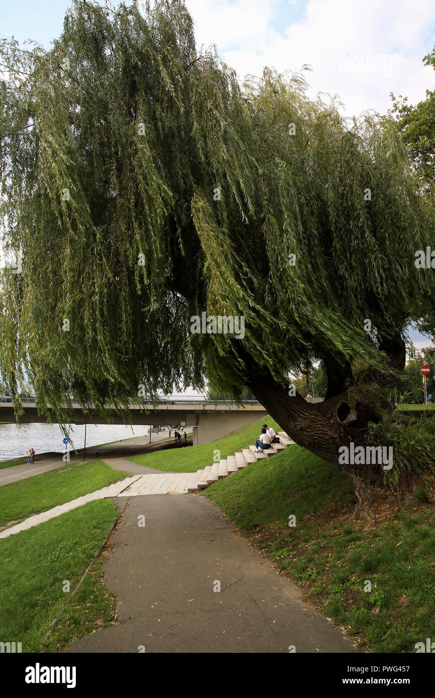 Parco di passeggiata lungo il fiume Wisła, Cracovia in Polonia Foto Stock