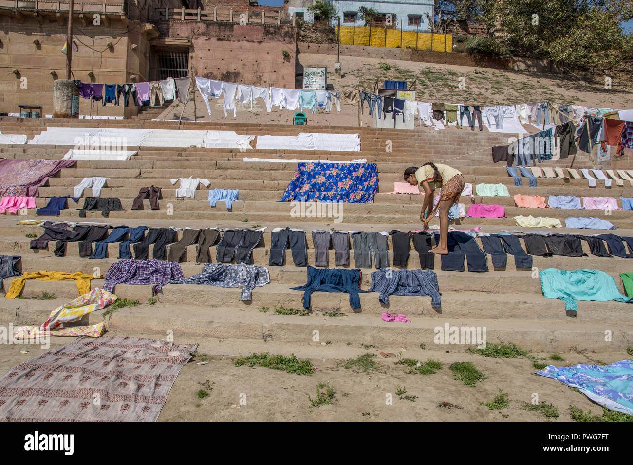 Servizio lavanderia giorno sul fiume Gange, Varanasi, Uttar Pradesh, India. Vestiti e biancheria sono lavati nel fiume e la diffusione a secco sulla sua riva Foto Stock