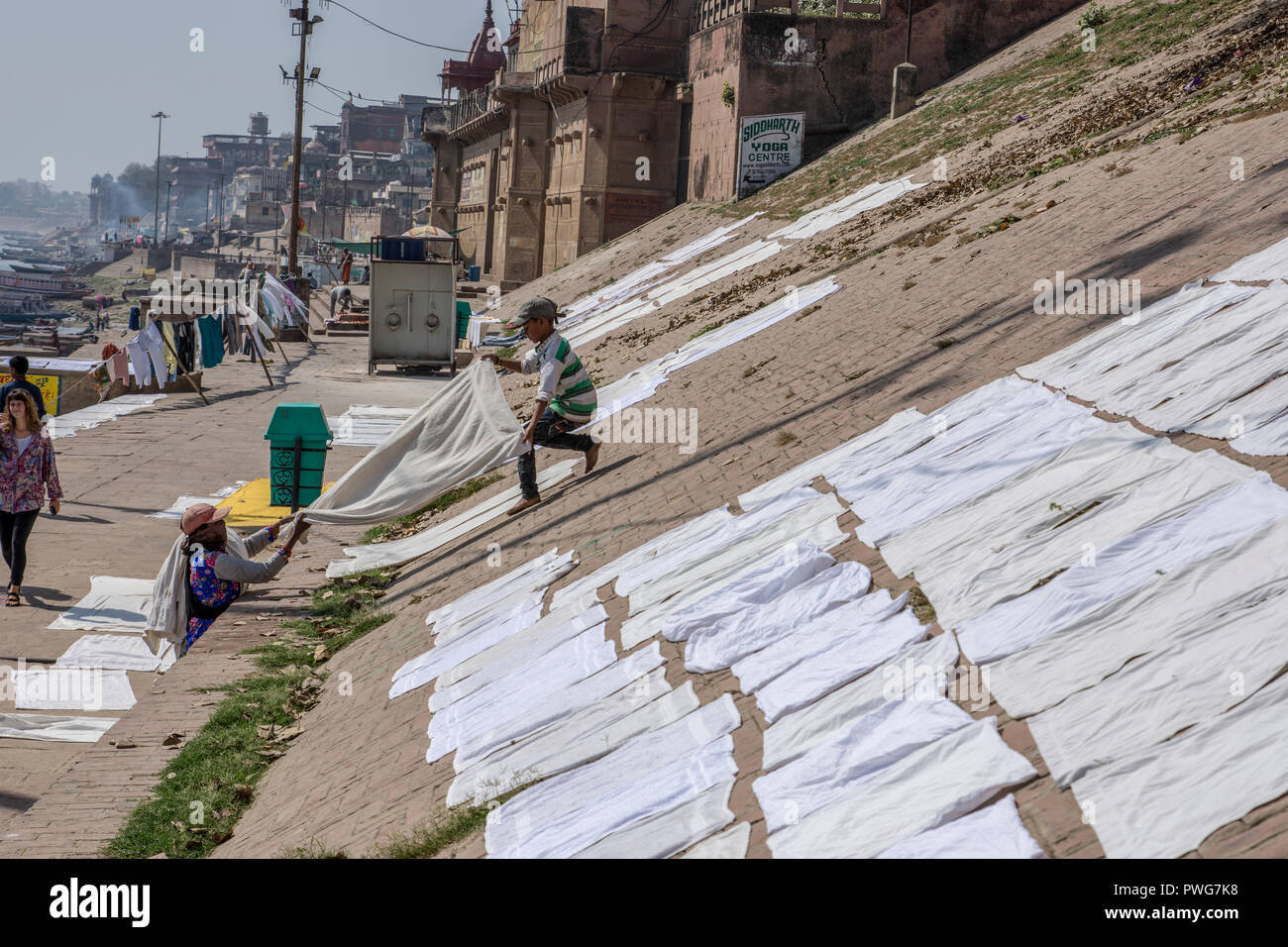 Servizio lavanderia giorno sul fiume Gange, Varanasi, Uttar Pradesh, India. Vestiti e biancheria sono lavati nel fiume e la diffusione a secco sulla sua riva Foto Stock