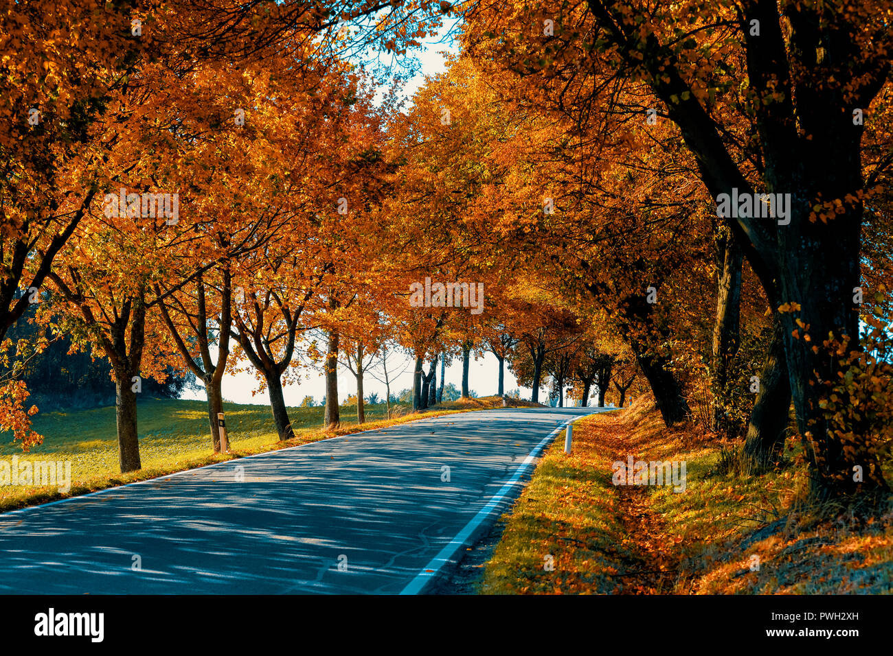 Bellissima e romantica caduta strada colorato come vicolo con alberi colorati e dalla luce diretta dei raggi solari. autunno sfondo naturale Foto Stock