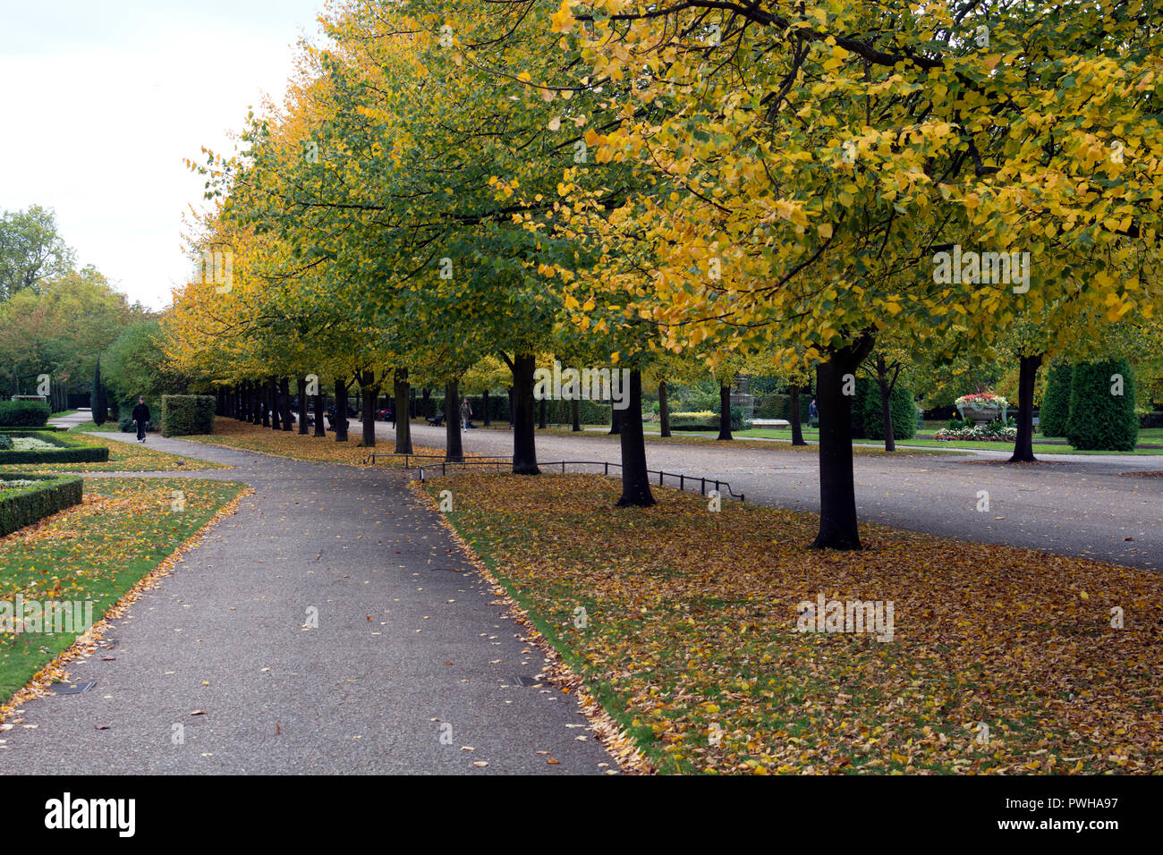 Regent's Park in autunno, London, Regno Unito Foto Stock