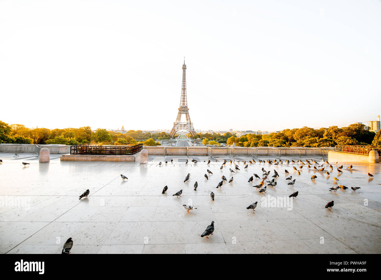 Panorama sulla torre Eiffel dalla piazza del Trocadero durante il sunrise a Parigi Foto Stock
