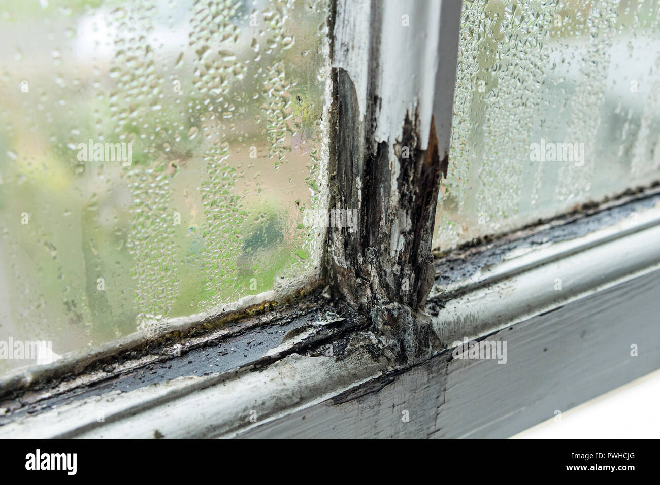 Un marcio infisso scorrevole causato dalla presenza di condensa e una mancanza di manutenzione in una locazione, REGNO UNITO Foto Stock