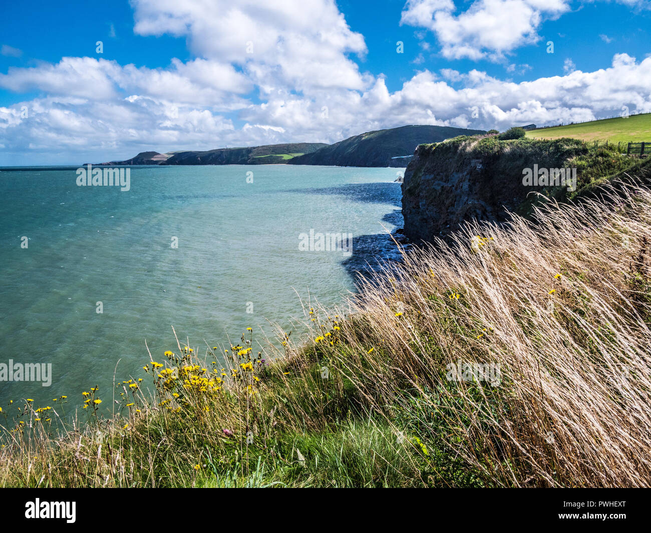 Vista dal sentiero costiero verso Tresaith sulla costa gallese in Ceredigion. Foto Stock