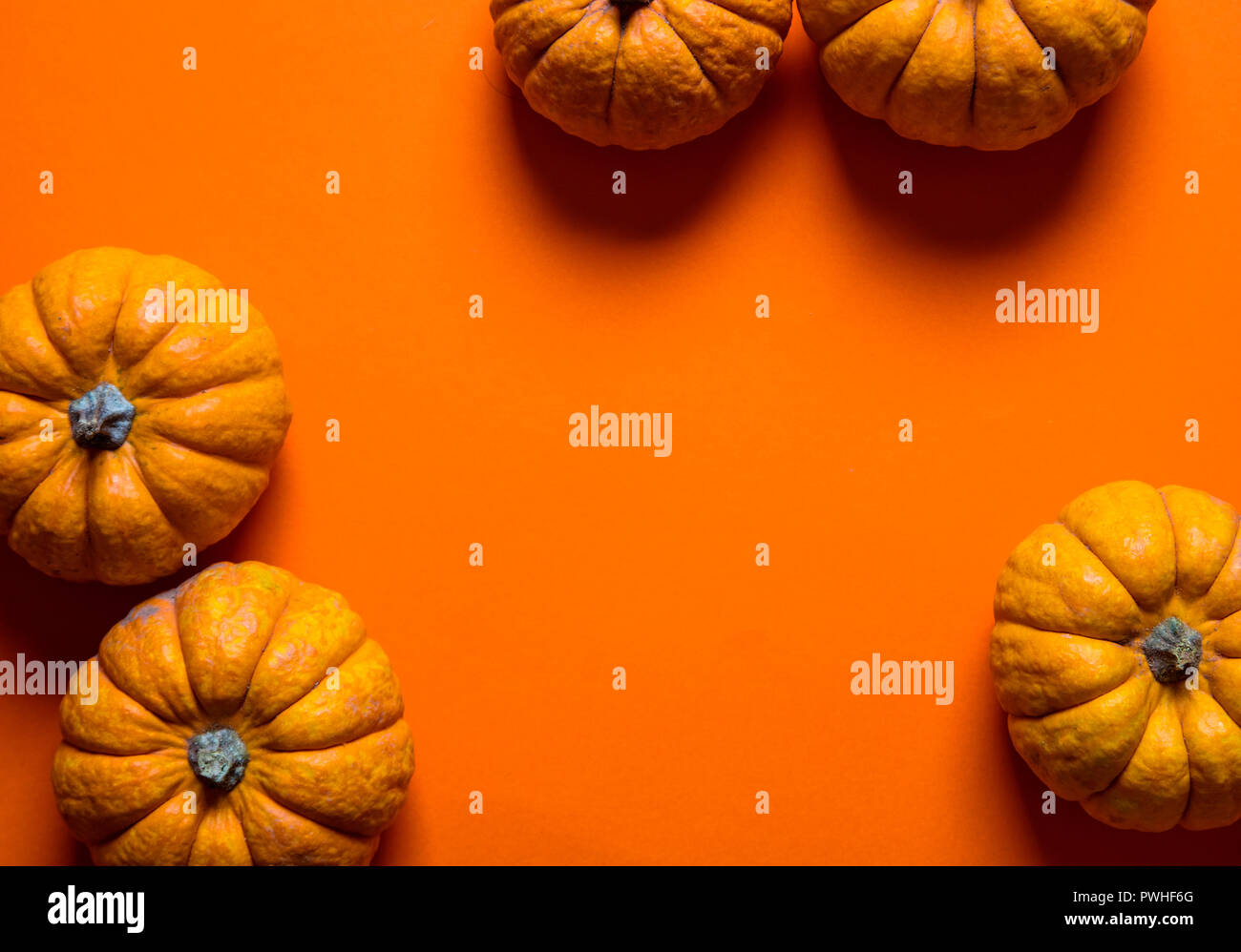 Zucche di piccole dimensioni su un arancio luminoso sullo sfondo. Halloween e sfondo del ringraziamento Foto Stock