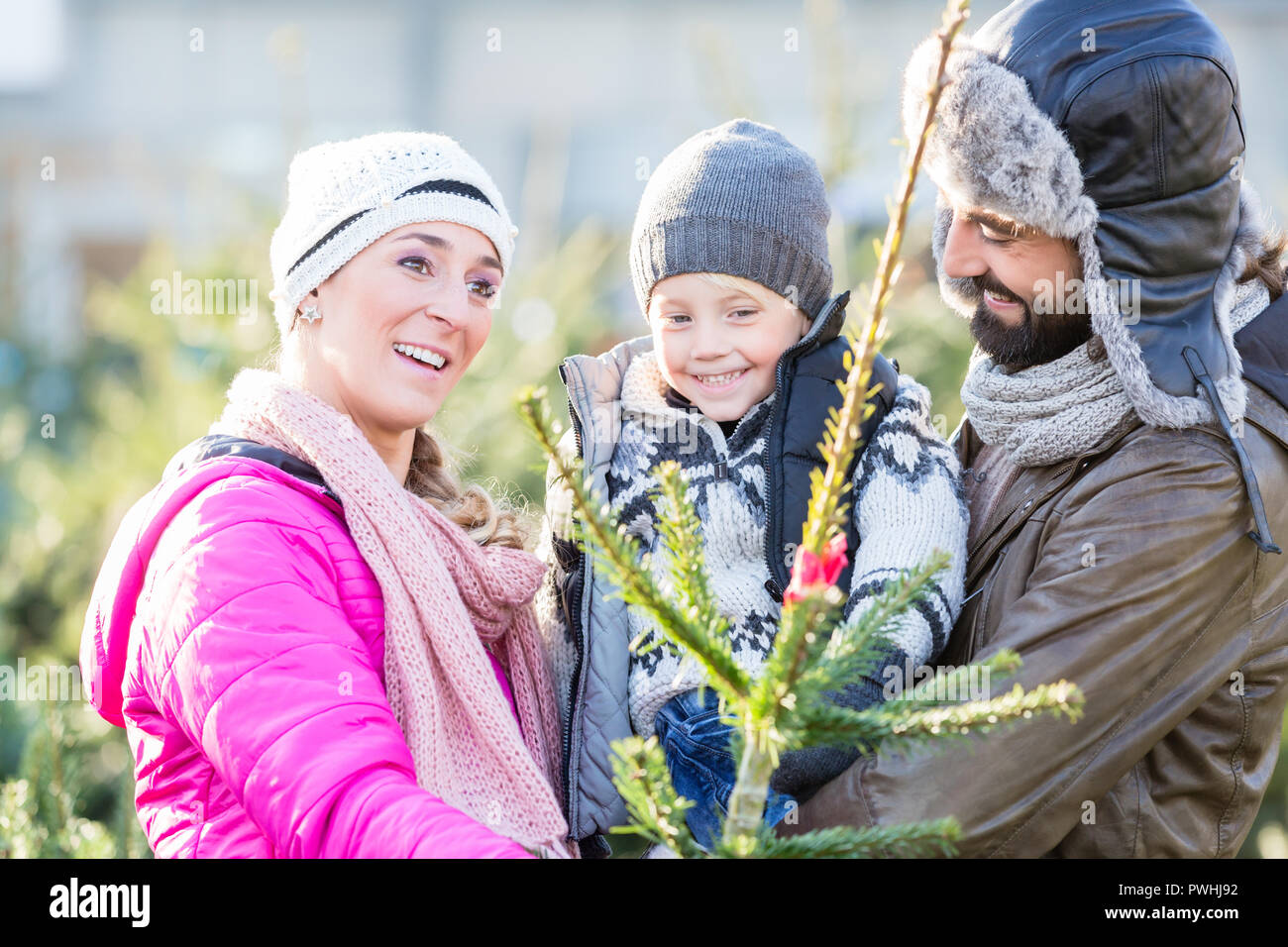 Famiglia Acquisto di albero di Natale sul mercato Foto Stock