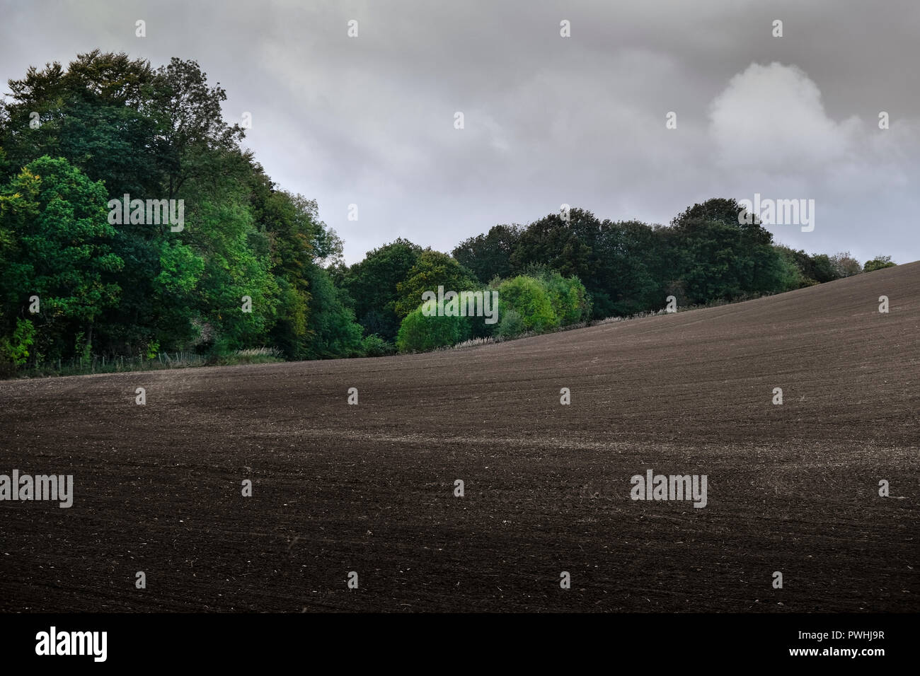 Agricoltura / Agricoltura terreno coltivato in un campo nella campagna inglese Foto Stock