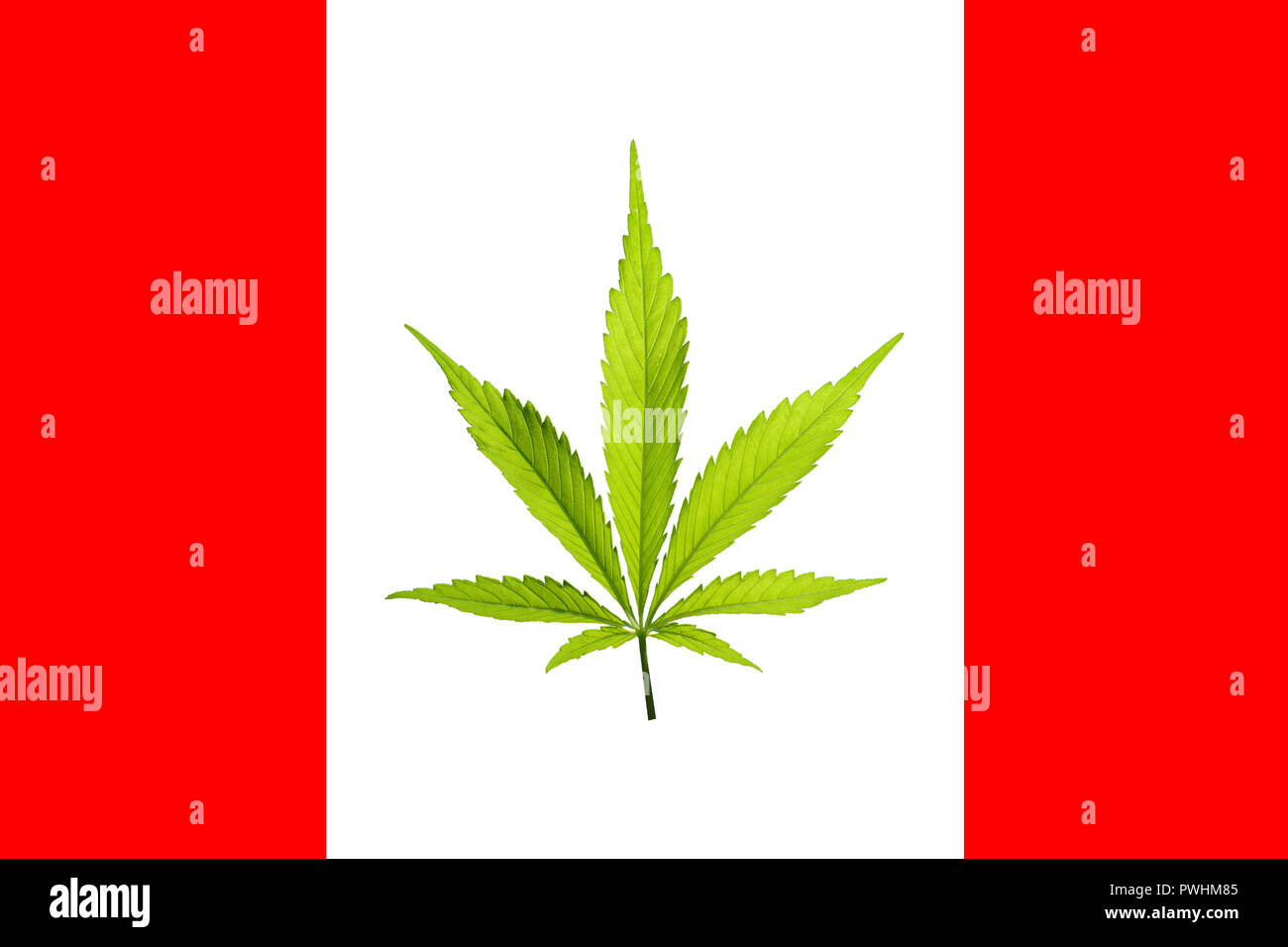 Bandiera canadese con verde pianta di Cannabis nel mezzo invece di Foglia di acero. Concetto di legalizzazione della marijuana in Canada nel 2018. Foto Stock