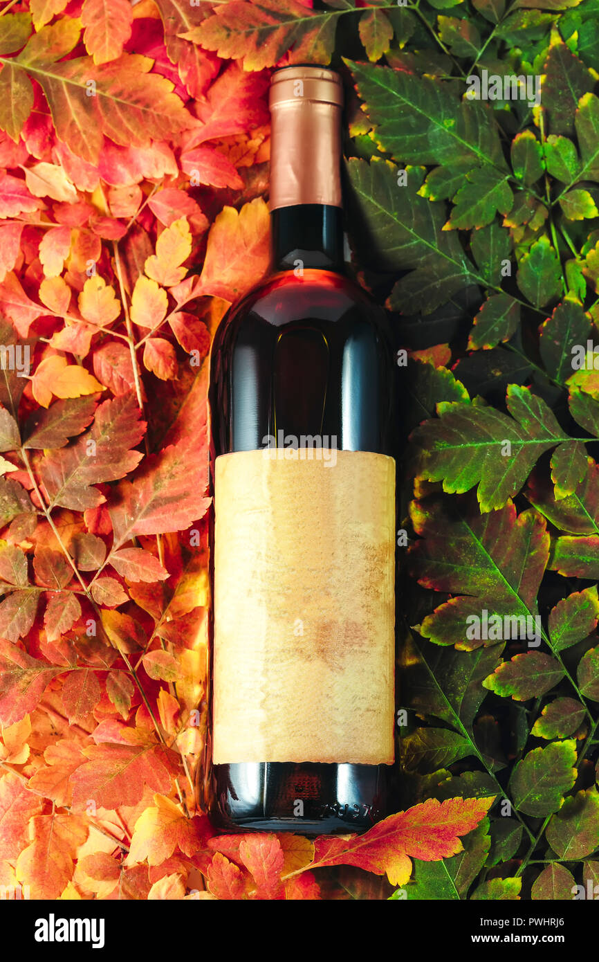Bottiglia di vino la presentazione su autumn leaf concept Foto Stock