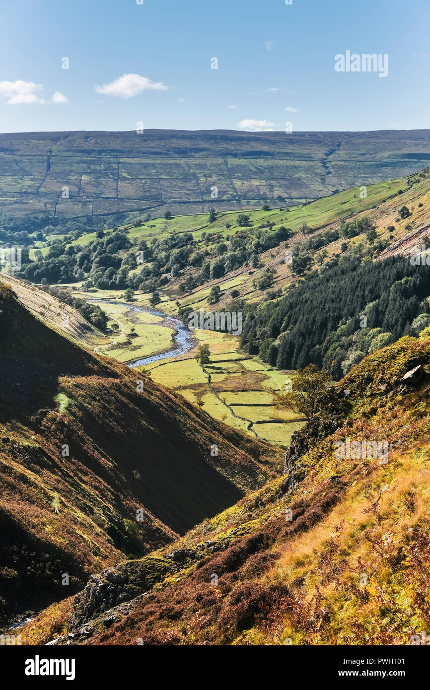 Campagna inglese in Swaledale tra Keld e Muker nel Yorkshire Dales, North Yorkshire Inghilterra Foto Stock