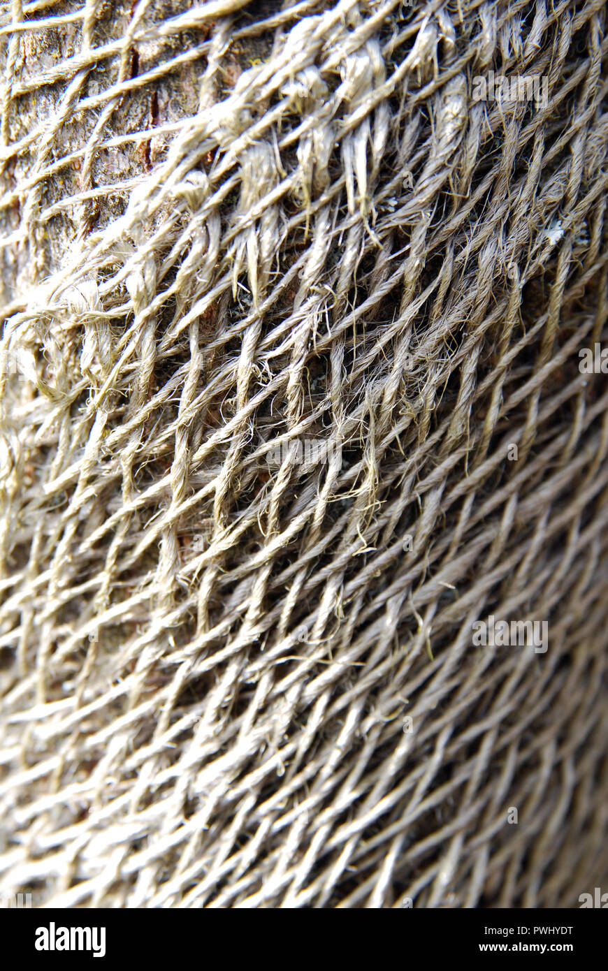 Macro shot del netting Foto Stock