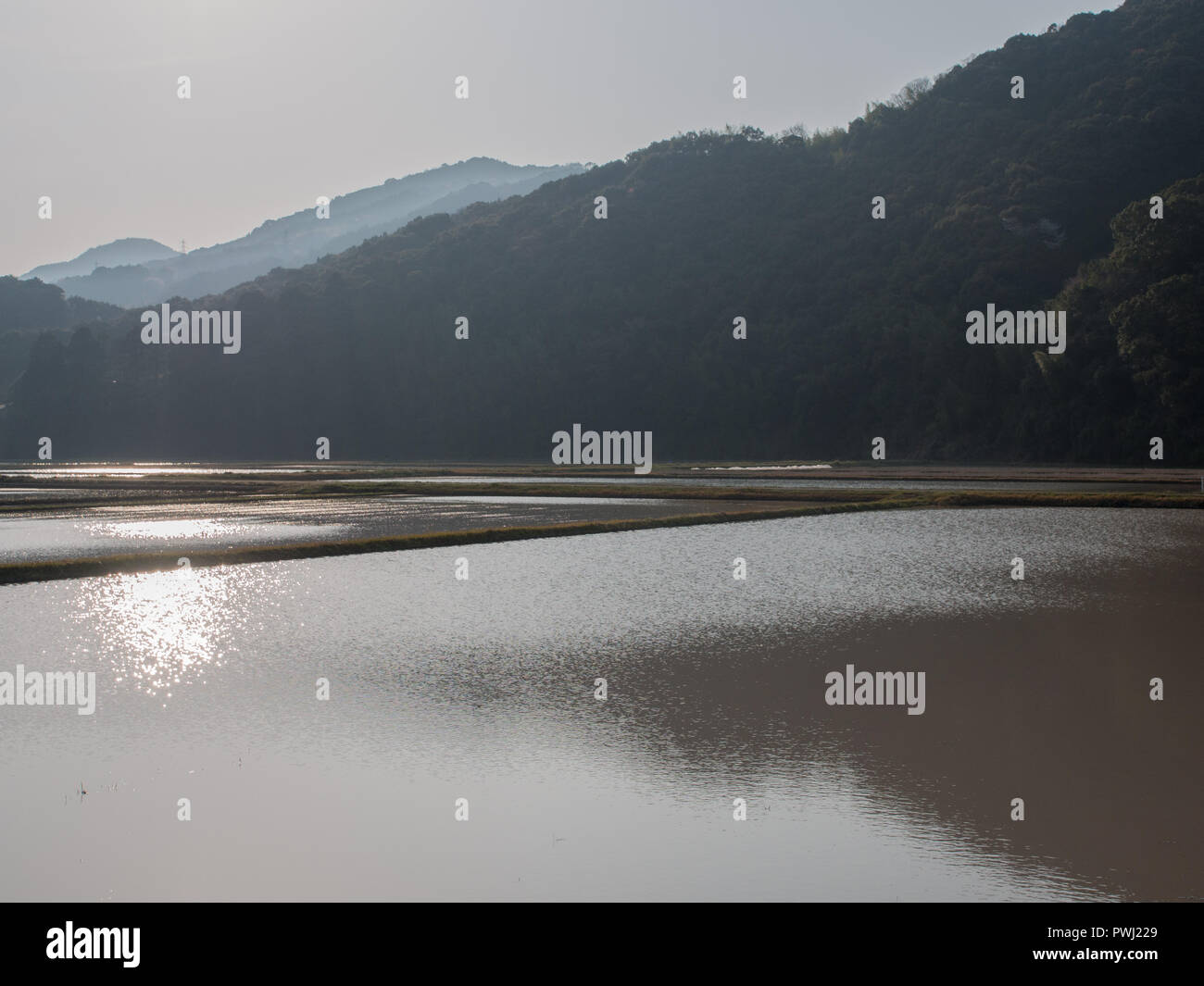 Risaie allagate, prima della semina primaverile, Shimanto, Kochi, Giappone Foto Stock