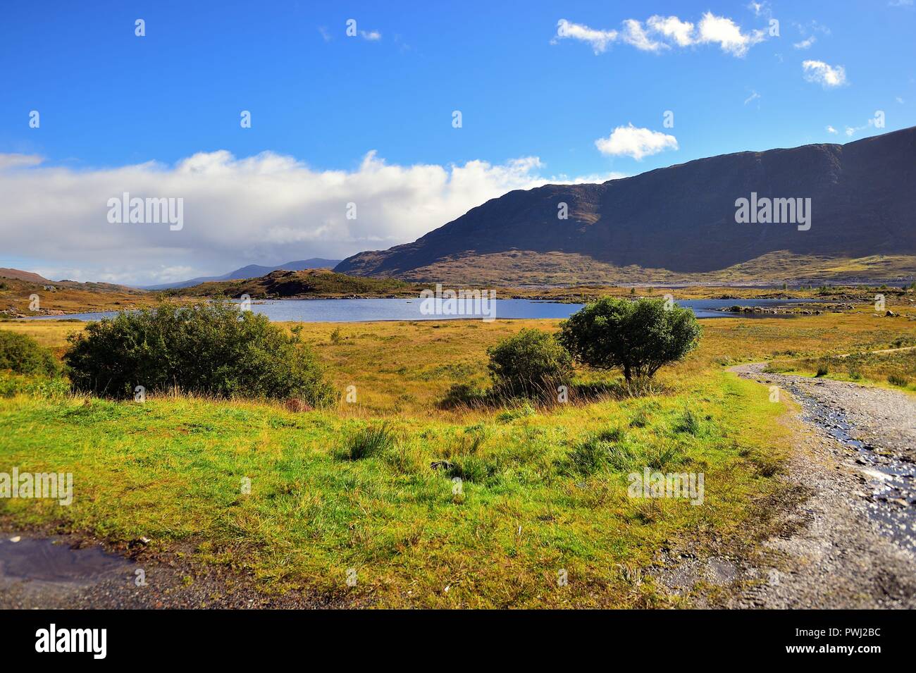 Bun Loyne, Highlands, Scotland, Regno Unito. La bellezza delle Highlands scozzesi è evidente in questo inizio autunno scena vicino al Loch Cluaniee. Foto Stock