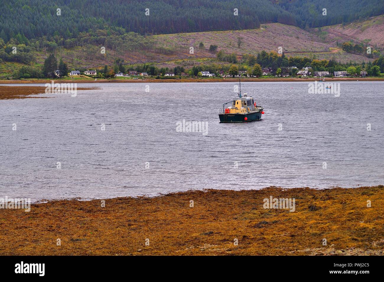 Shiel Bridge, Highlands, Scotland, Regno Unito. Un isolato la pesca in barca ancorata vicino alla riva del Loch Duich. Foto Stock
