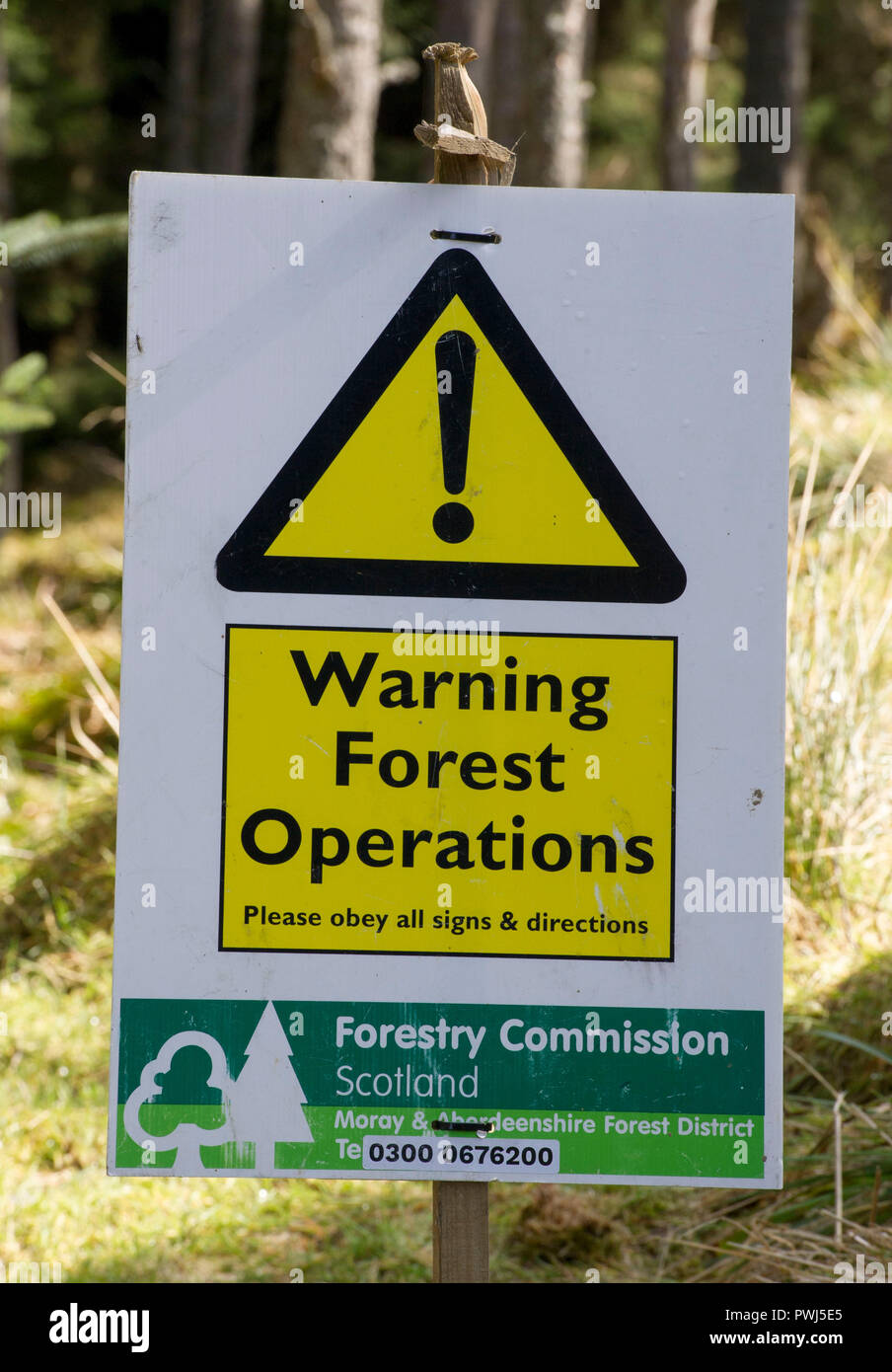Operazione forestale nella foresta Clashindarroch., vicino Huntly, Aberdeenshire. Foto Stock