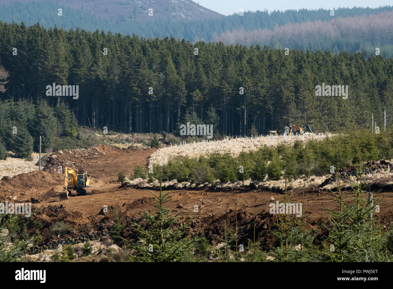 Commissione forestale il funzionamento in Clashindarroch foresta vicino Huntly, Aberdeenshire. Foto Stock