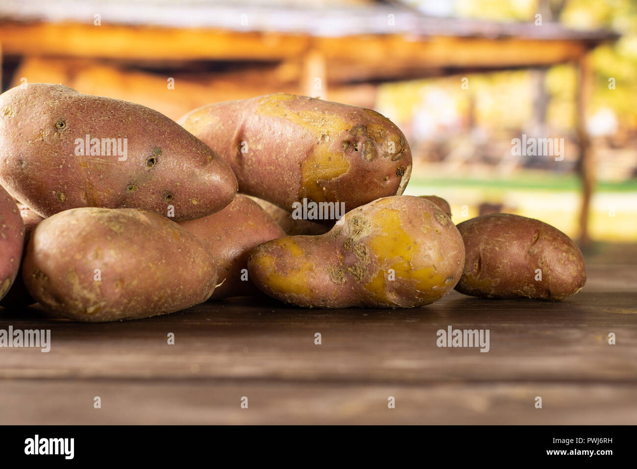 Sacco di intere fresche patata rossa francelina varietà con carrello in background Foto Stock
