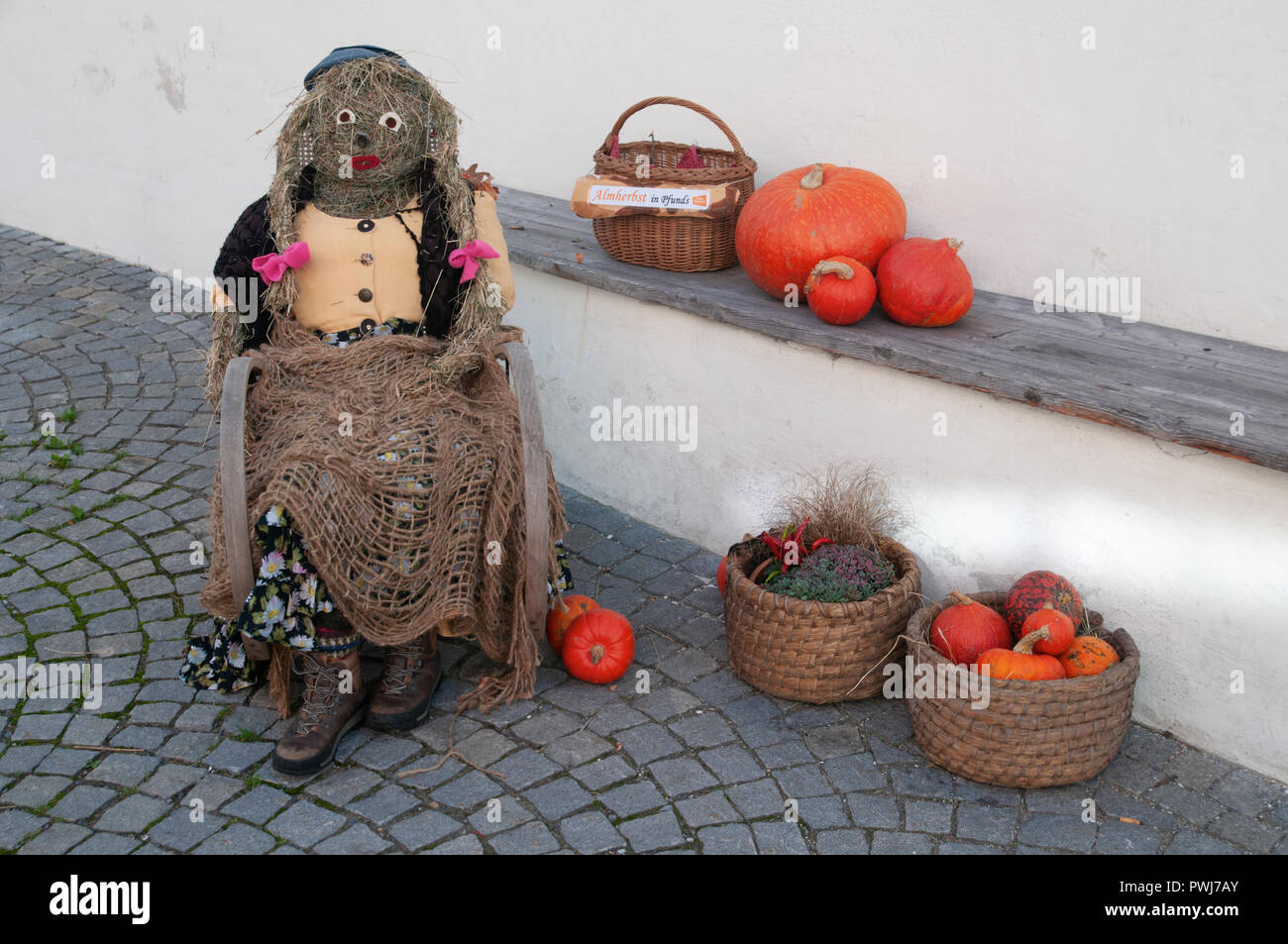 Paglia Witch Halloween e zucche sul display Foto Stock