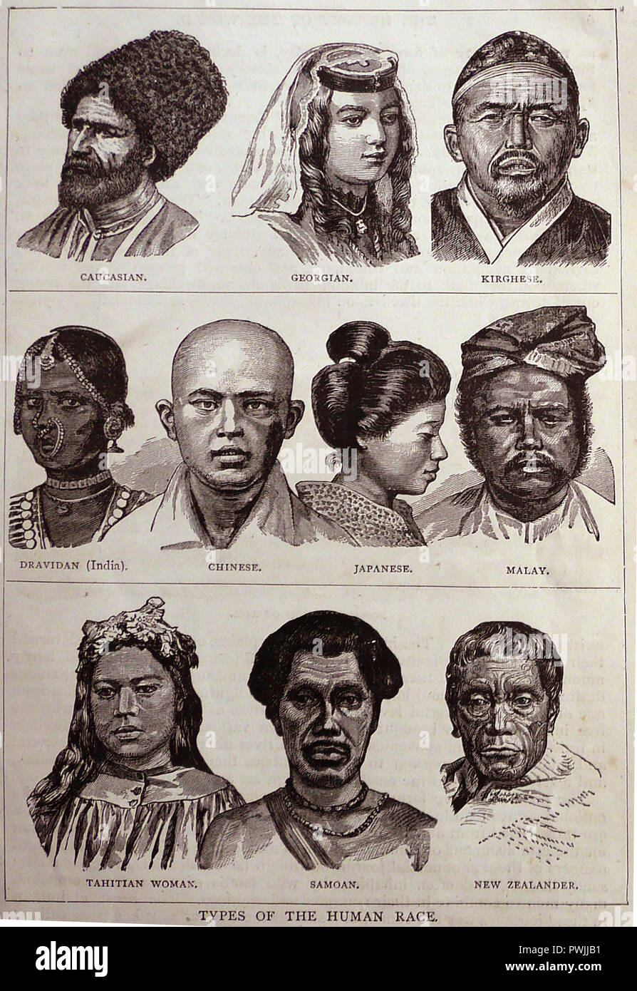 Caratteristiche facciali del tipo razziale della razza umana, da Harmsworth Storia illustrata del mondo Circa, 1908 Foto Stock Caratteristiche facciali del tipo razziale della razza umana, da Harmsworth Storia illustrata del mondo Circa, 1908 Foto Stock