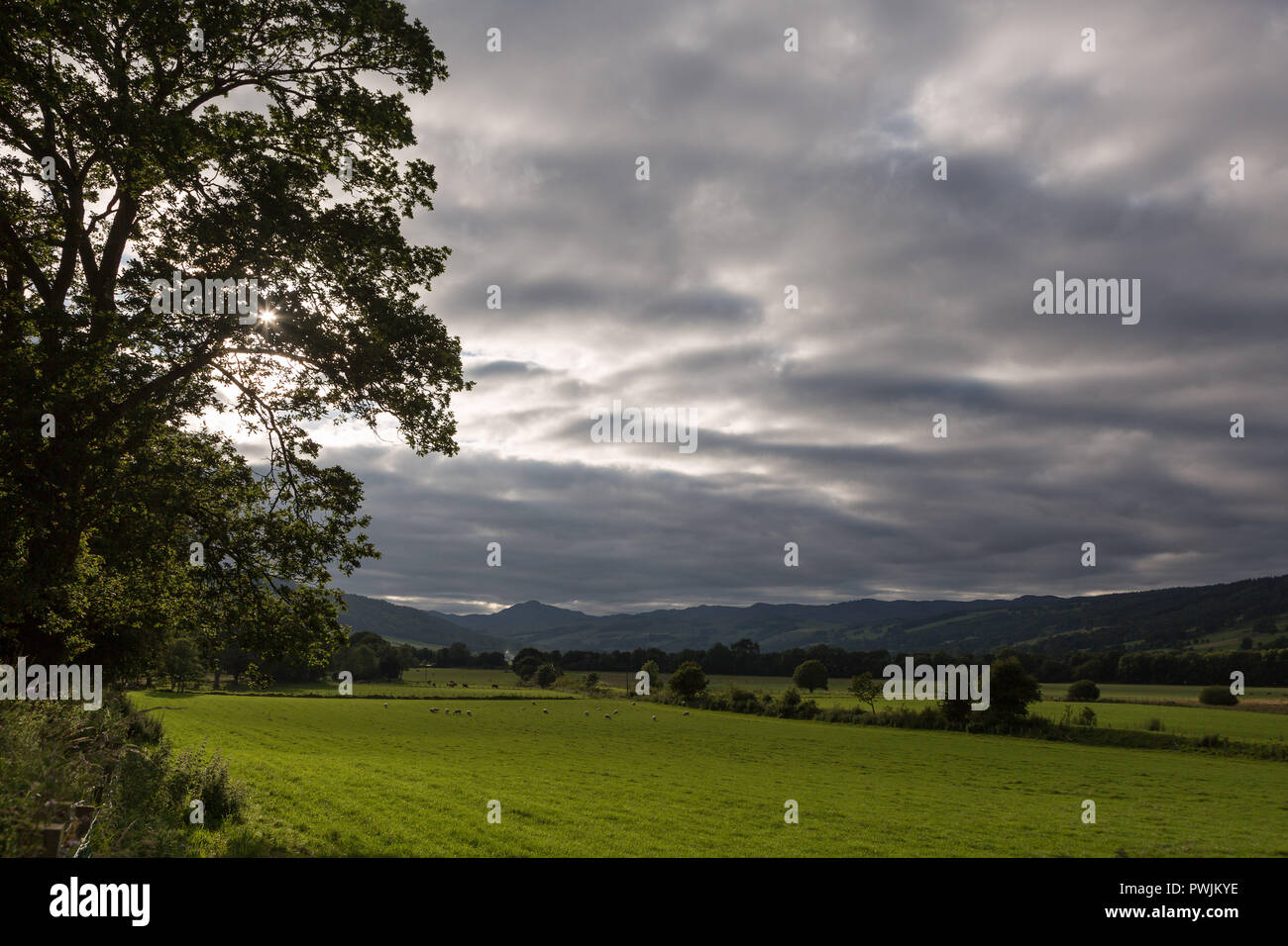 Campi sotto un cielo moody in Perthshire Foto Stock