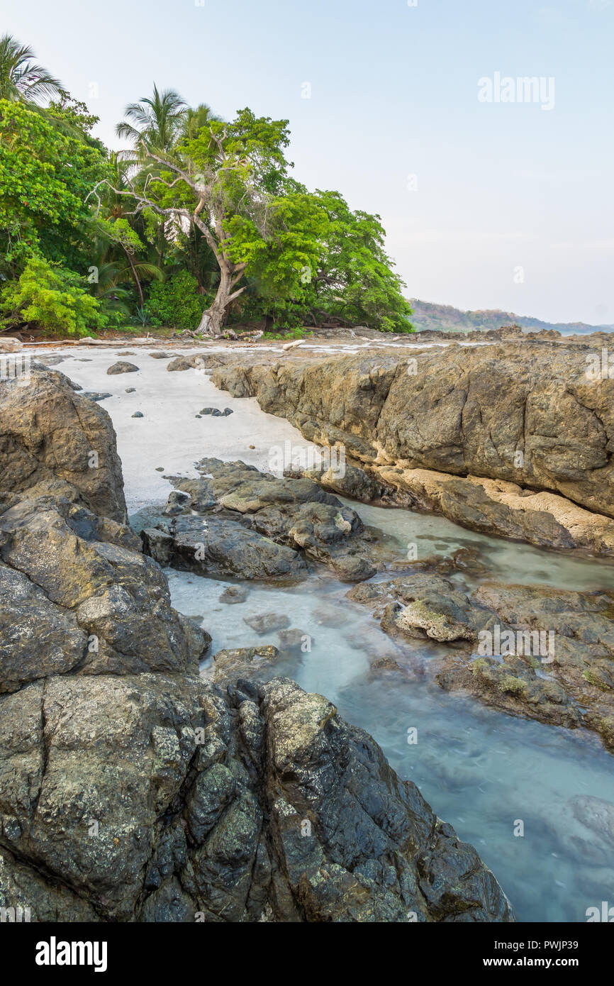 Montezuma Beach, Montezuma, Nicoya peninsula, Costa Rica, America Centrale Foto Stock