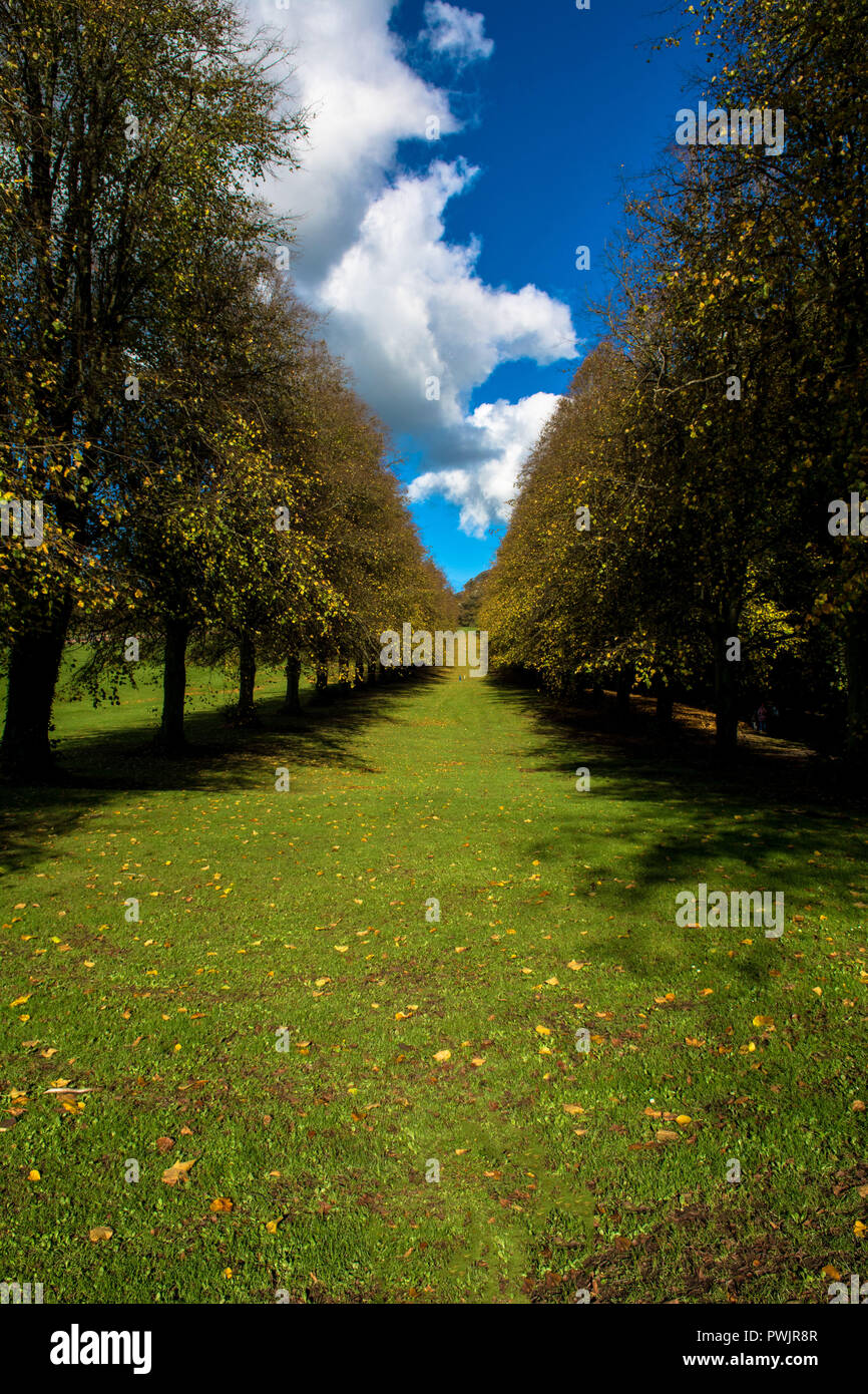 Stormont Estate East Belfast County Down Irlanda del Nord Foto Stock