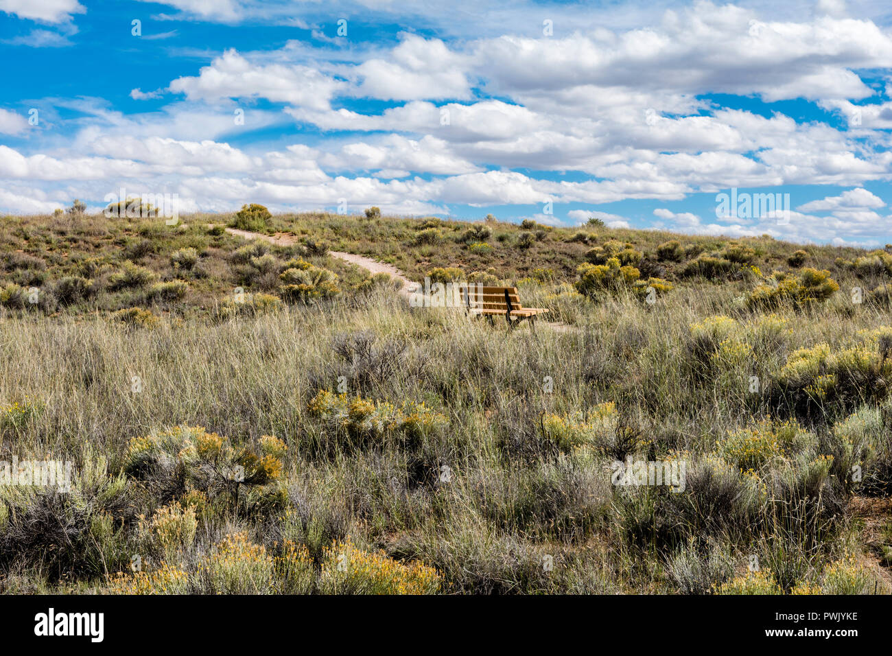 Sentiero escursionistico e banco di vuoto che si affaccia ad alta il paesaggio del deserto vicino al Centro Visita di El Malpais monumento nazionale, Nuovo Messico, Stati Uniti d'America. Foto Stock