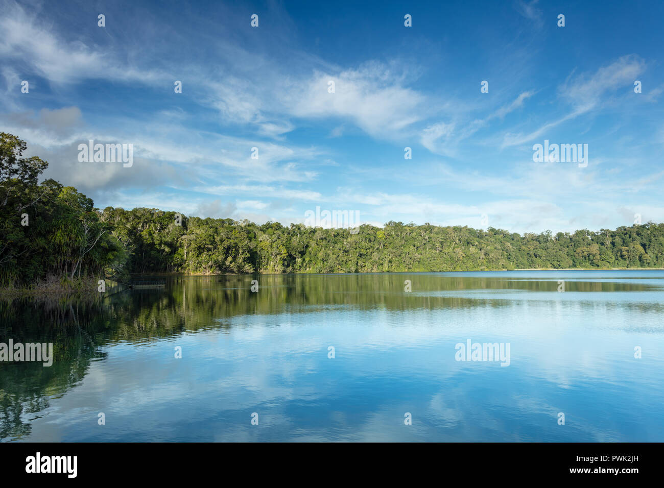 Lago Eacham, Queensland, Australia. Lago Eacham nel cratere laghi Parco nazionale sull'altopiano di Atherton in tropicale Nord Queensland. Foto Stock