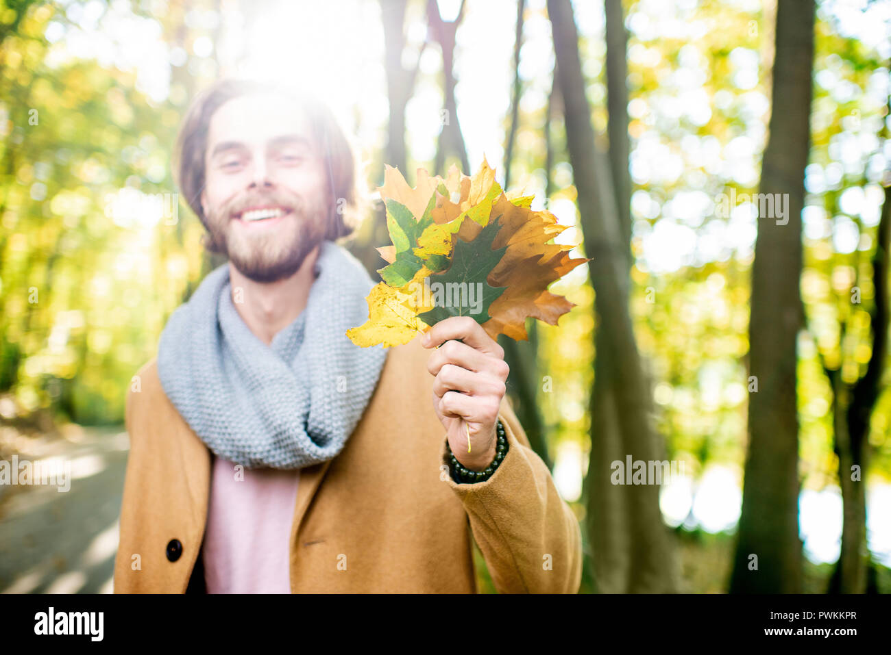 Autunno ritratto di un uomo bello con bel verde e foglie di giallo nella foresta Foto Stock