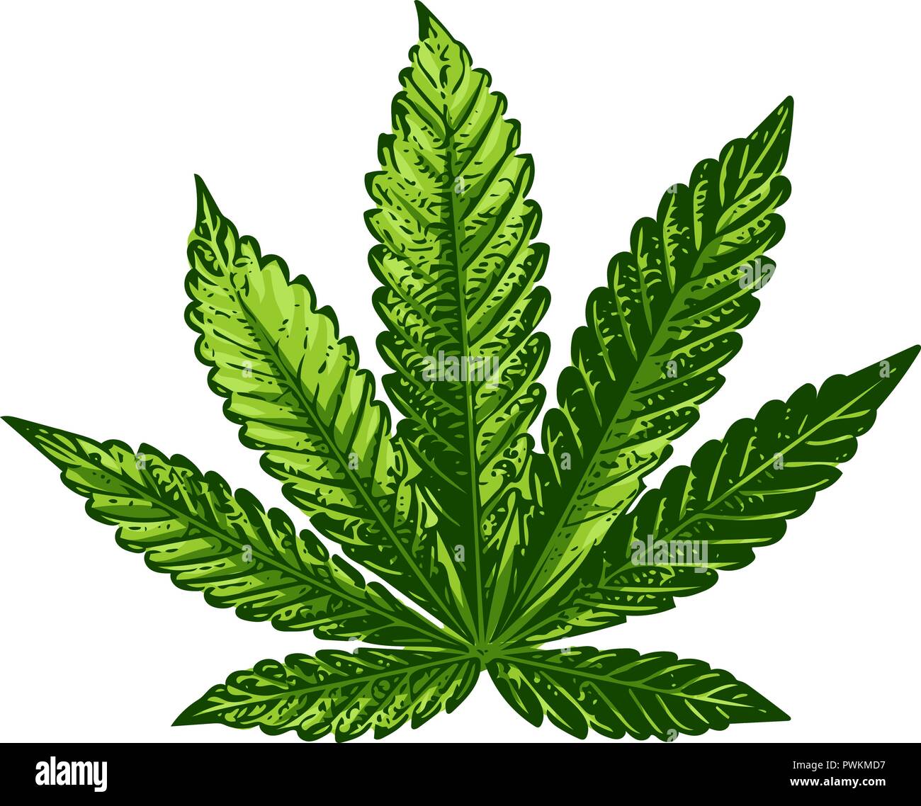 Segno di Cannabis illustrazione. Vettore. Verde scuro icona sullo sfondo trasparente. Illustrazione Vettoriale
