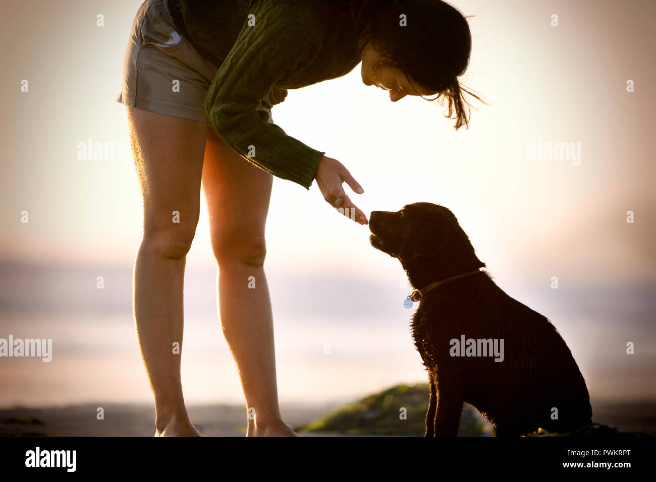 Giovane donna la piegatura verso il basso per consentire il suo cane leccare la sua mano. Foto Stock