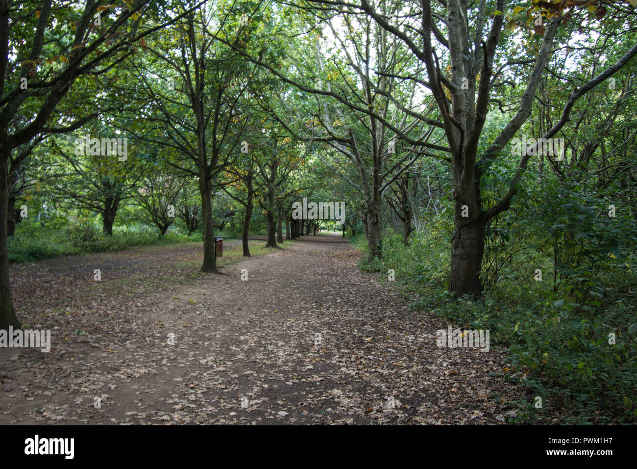 Delapre Abbey Foto Stock