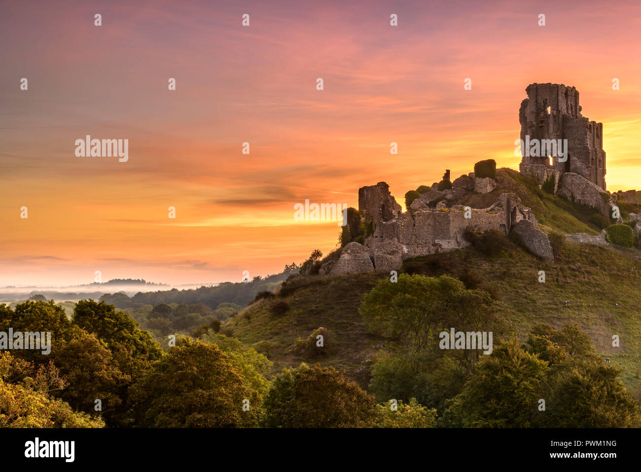 Alla prima luce del basso che giace la nebbia si disperde come il sole sorge sopra le rovine storiche di Corfe Castle, nella contea di Dorset, Inghilterra. Foto Stock
