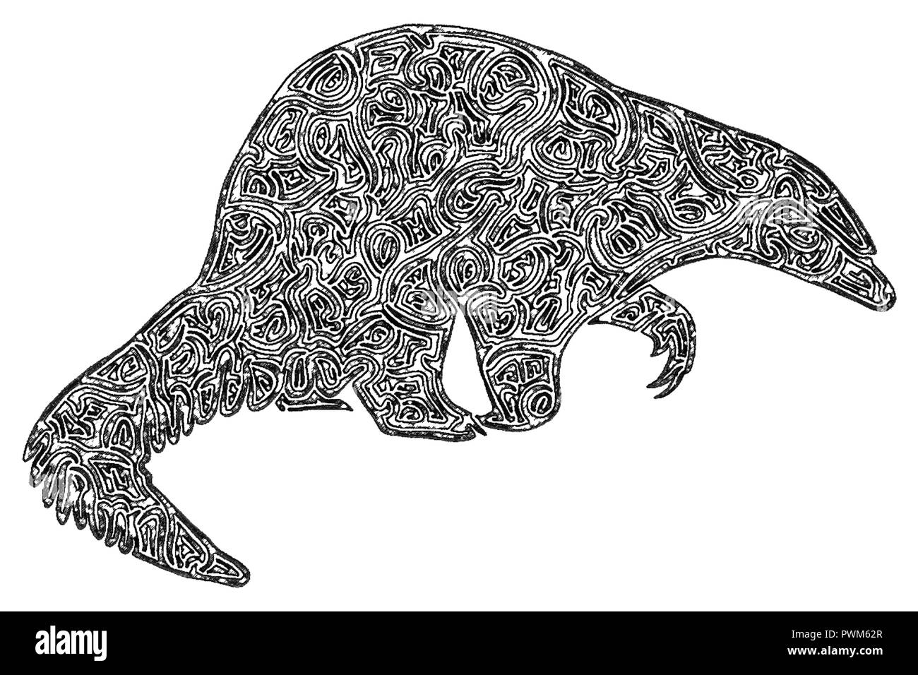 Illustrazione Di Un Pangolin Bianco E Nero Disegno Un