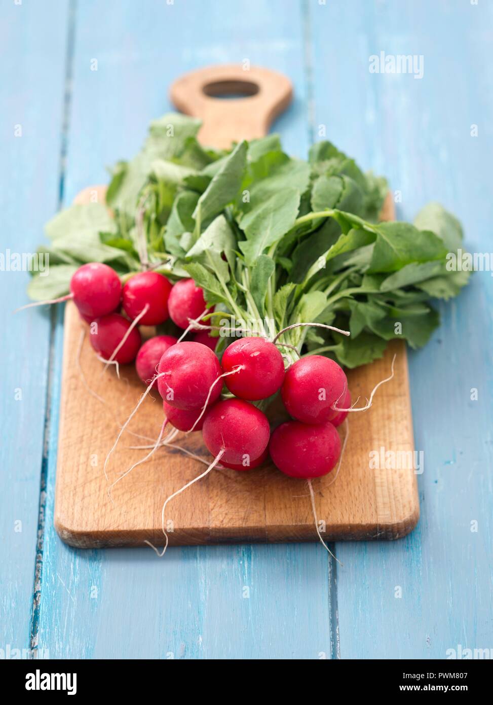 Fresche biologiche ravanelli su un tagliere Foto Stock