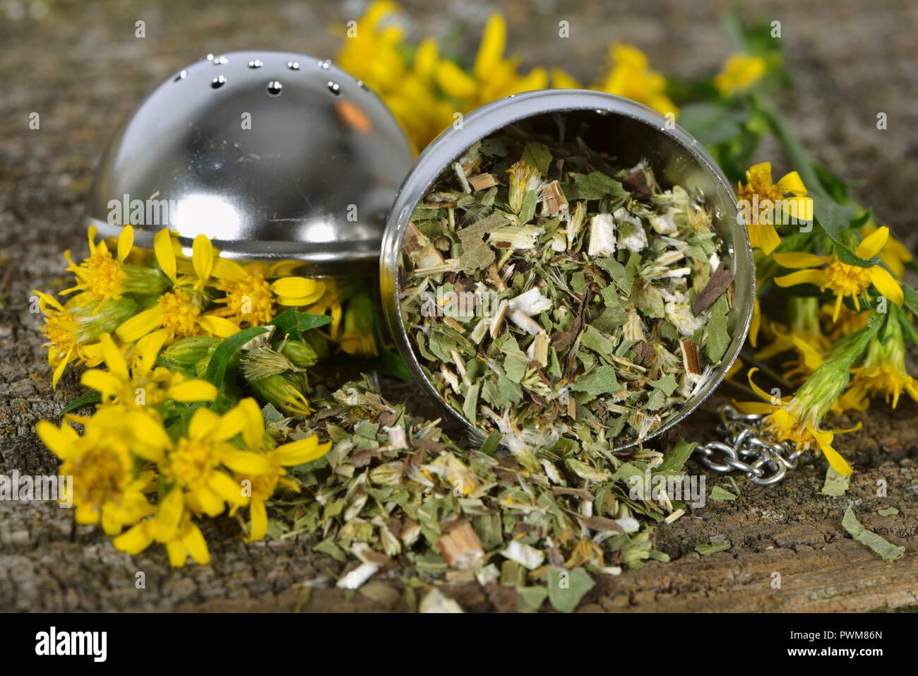 Oro essiccate le foglie di tè in una sfera di tè e fiori freschi Foto Stock