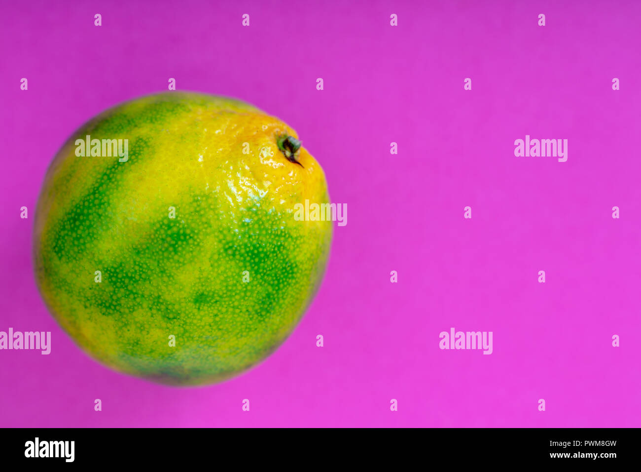 Verde mandarino dolce isolato su sfondo lilla con spazio di copia Foto Stock