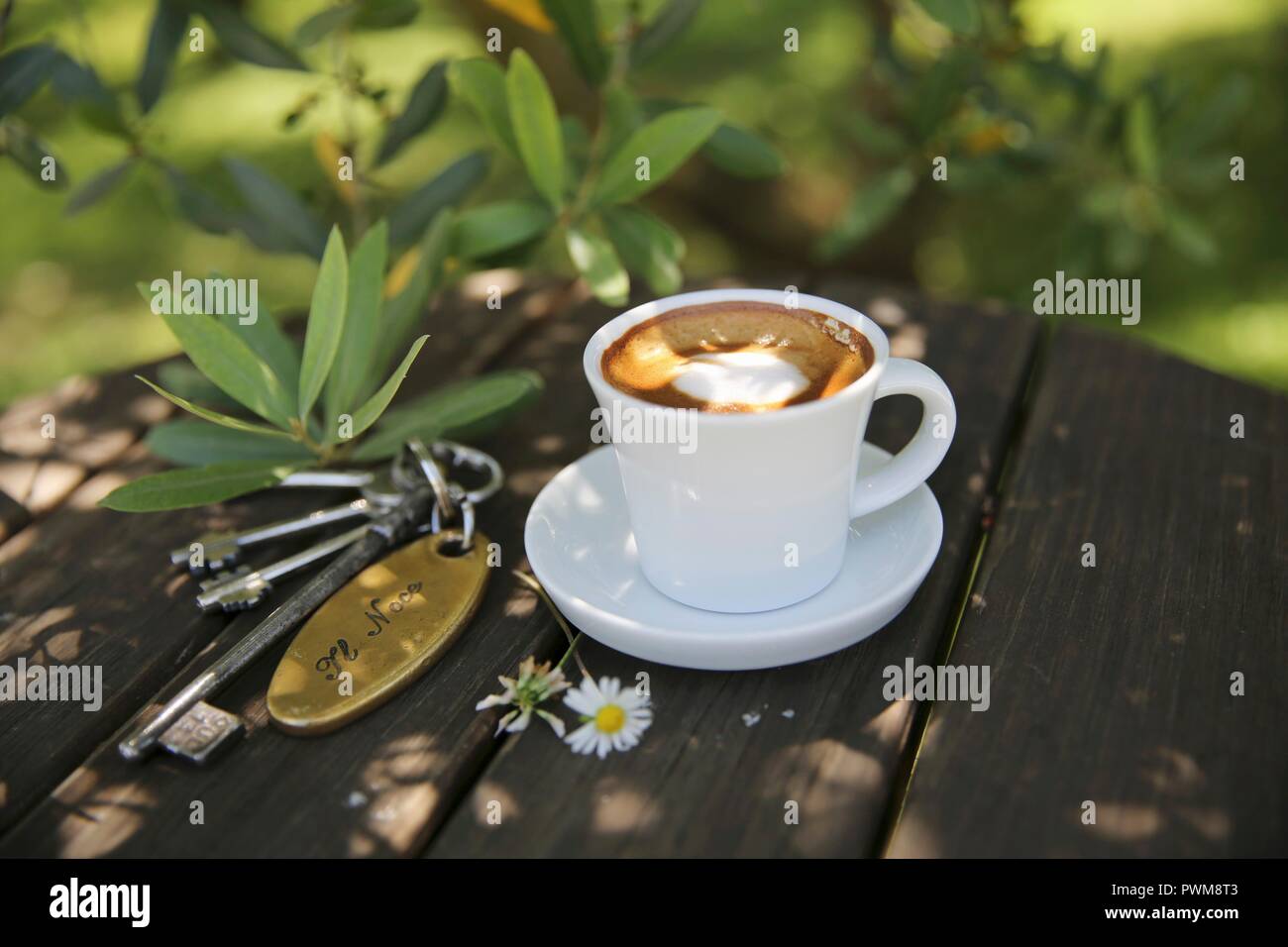 Il caffè nel giardino in Toscana Foto Stock