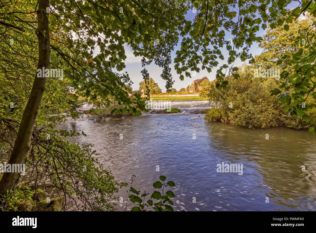 Un bosco con il Fiume Derwent che scorre a valle da uno stramazzo. Il vecchio monastero rovine di Kirkham Priory può essere visto in lontananza. Foto Stock