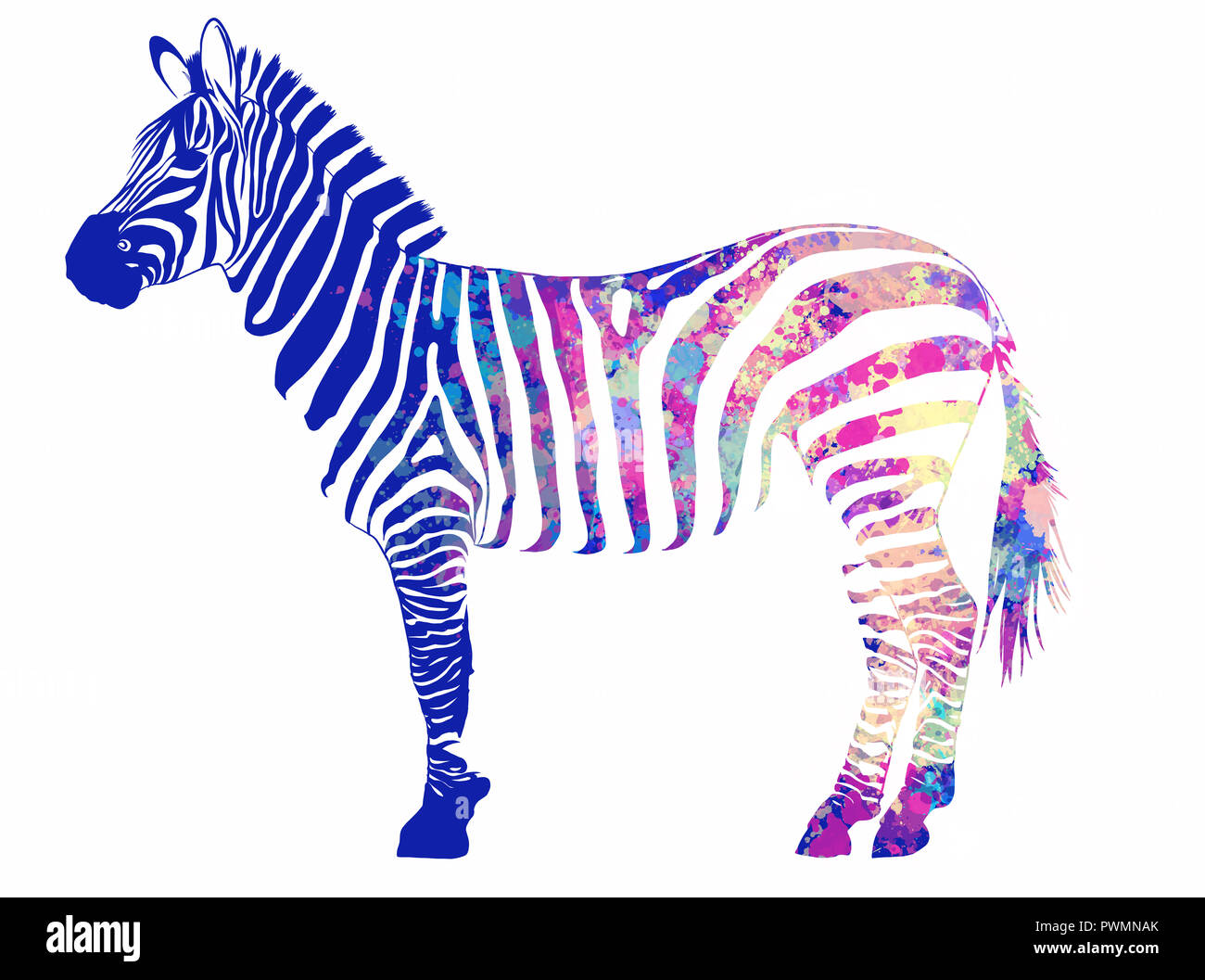 Illustrazione animale Zebra con strisce ad acquerello in background Foto Stock