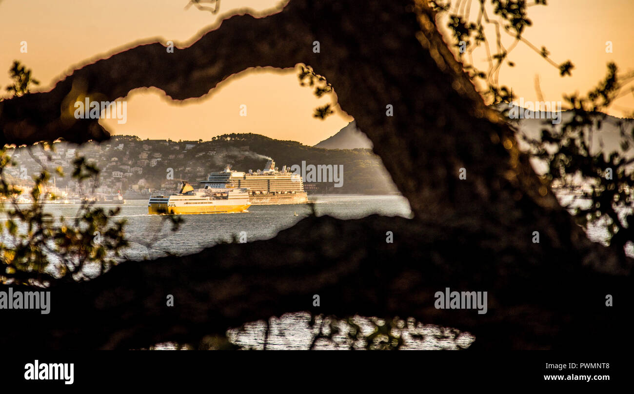 Francia, Provence-Alpes-Côte-d'Azur, Var, Tolone, rada di Tolone, la nave della Corsica Ferries e la nave da crociera di Marella Explorer (TUI Cruises) passando un altro Foto Stock