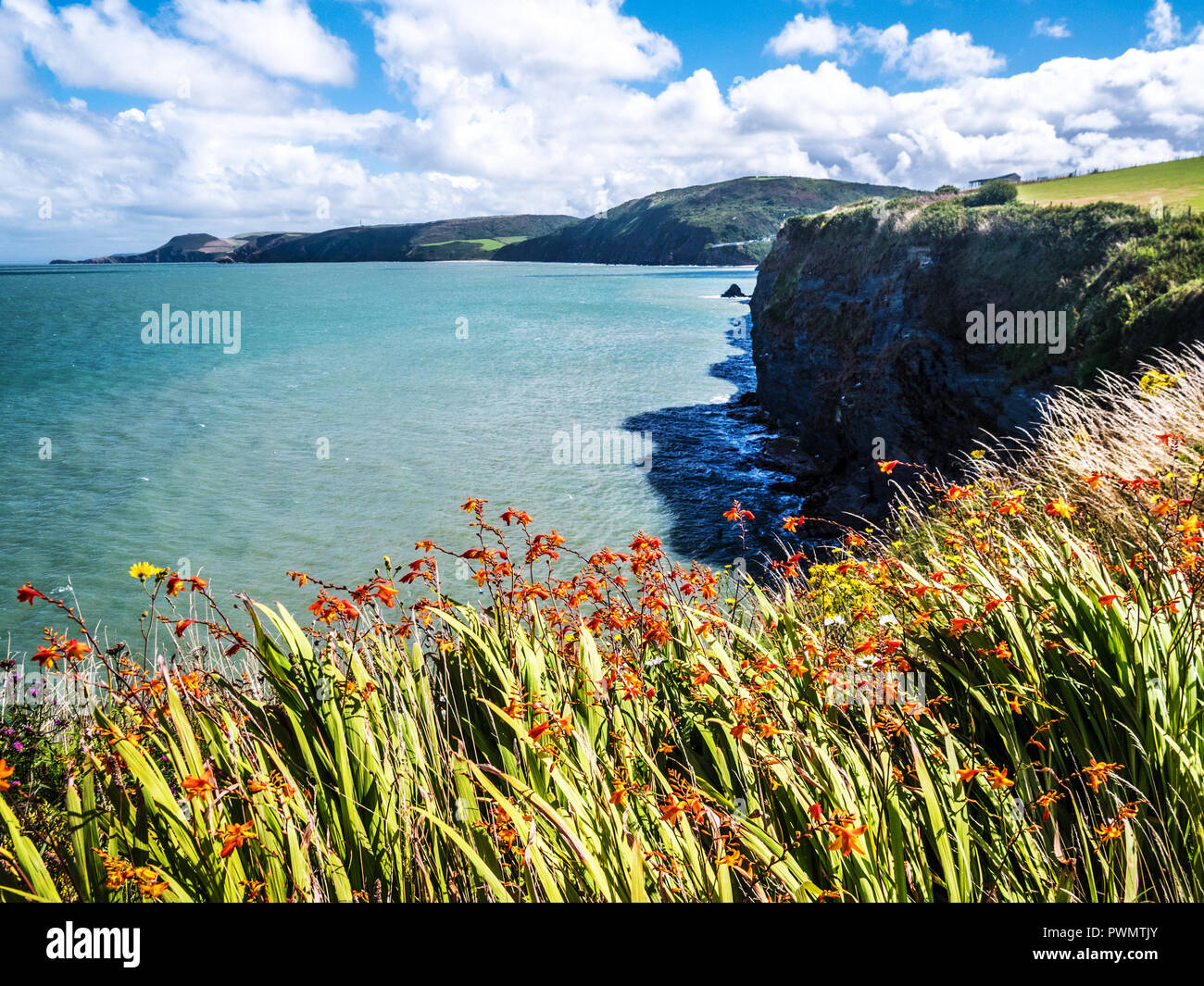 Vista dal sentiero costiero verso Tresaith sulla costa gallese in Ceredigion. Foto Stock